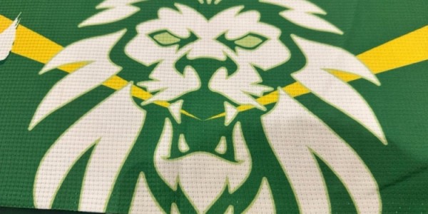 乐鱼体育官网网页版-国安亚冠定制围巾亮相社交媒体，博主配文彰显亚洲赛场雄心